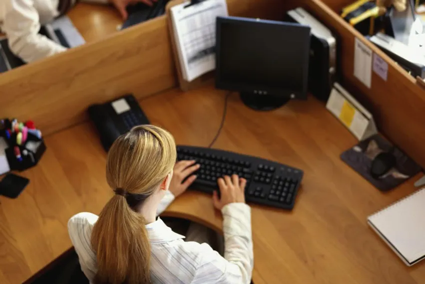 Капитал - Сколько зарабатывали специалисты в 2013 году?