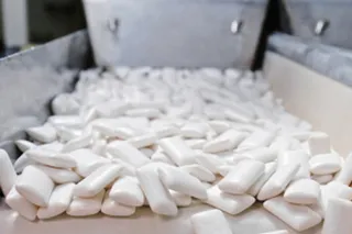 Капитал - На юге Казахстана появится первое производство жевательной резинки