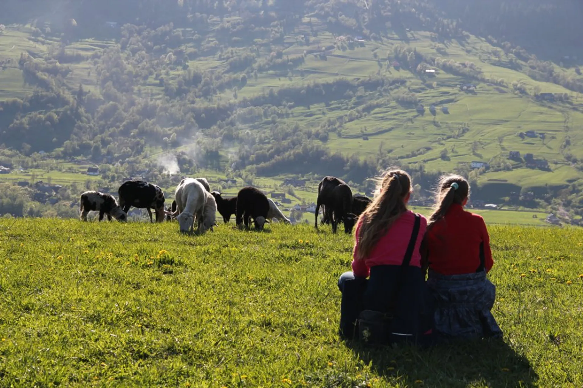 Капитал - Экотуризм занял четверть мирового рынка путешествий