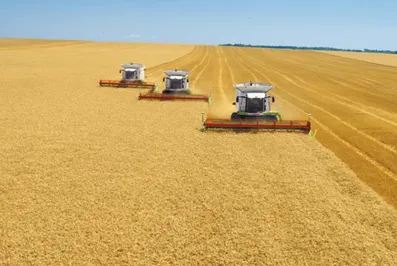 Сельское хозяйство поддержало товарное производство