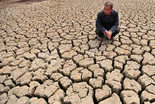 Капитал - ООН подсчитала убытки от глобального потепления