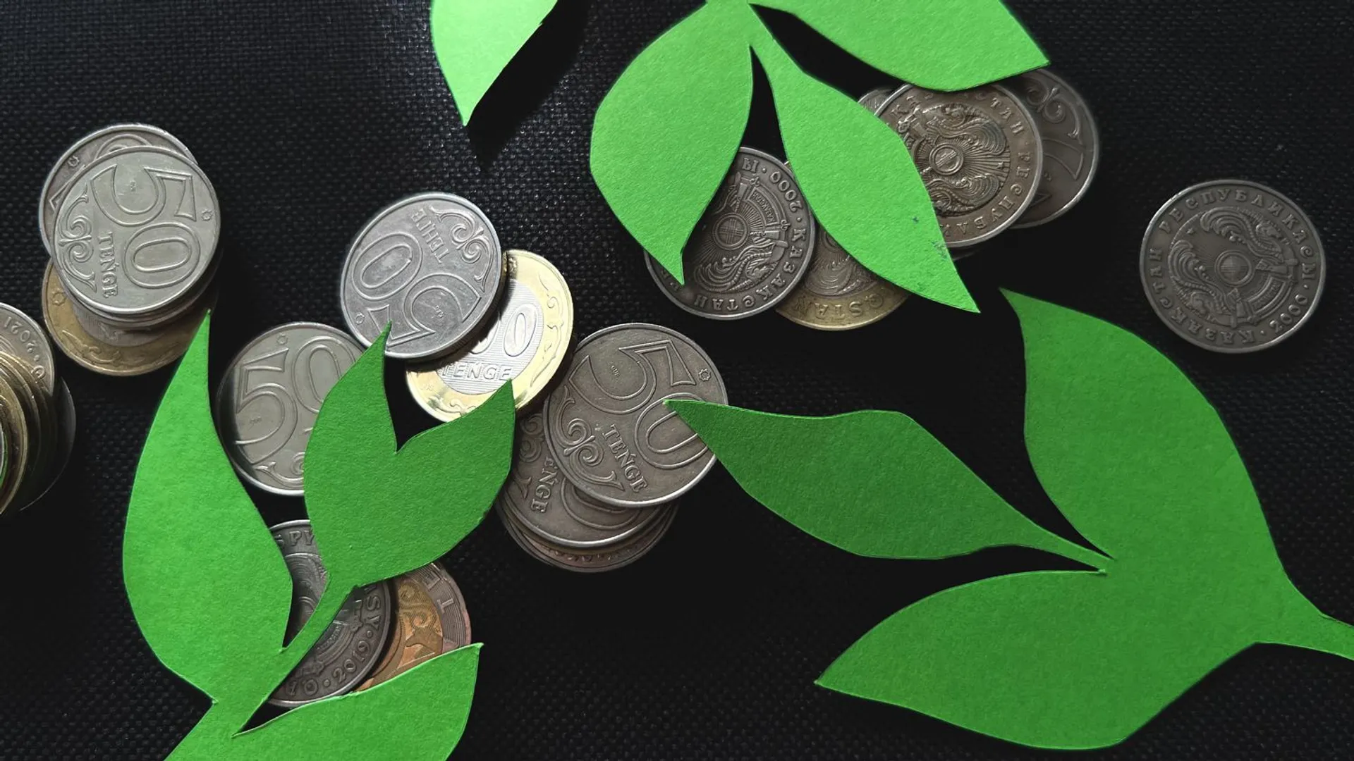 Фото: Валерия Змейкова