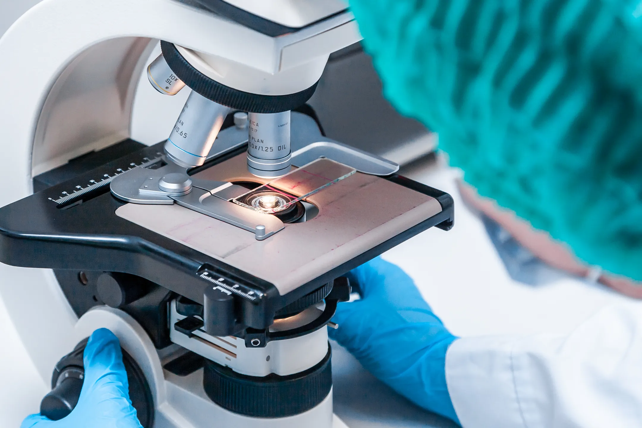 «Нобел АФФ»: достигнутые результаты и новые вызовы - Image Kapital.kz