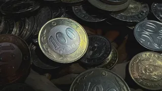 Фото: Валерия Змейкова