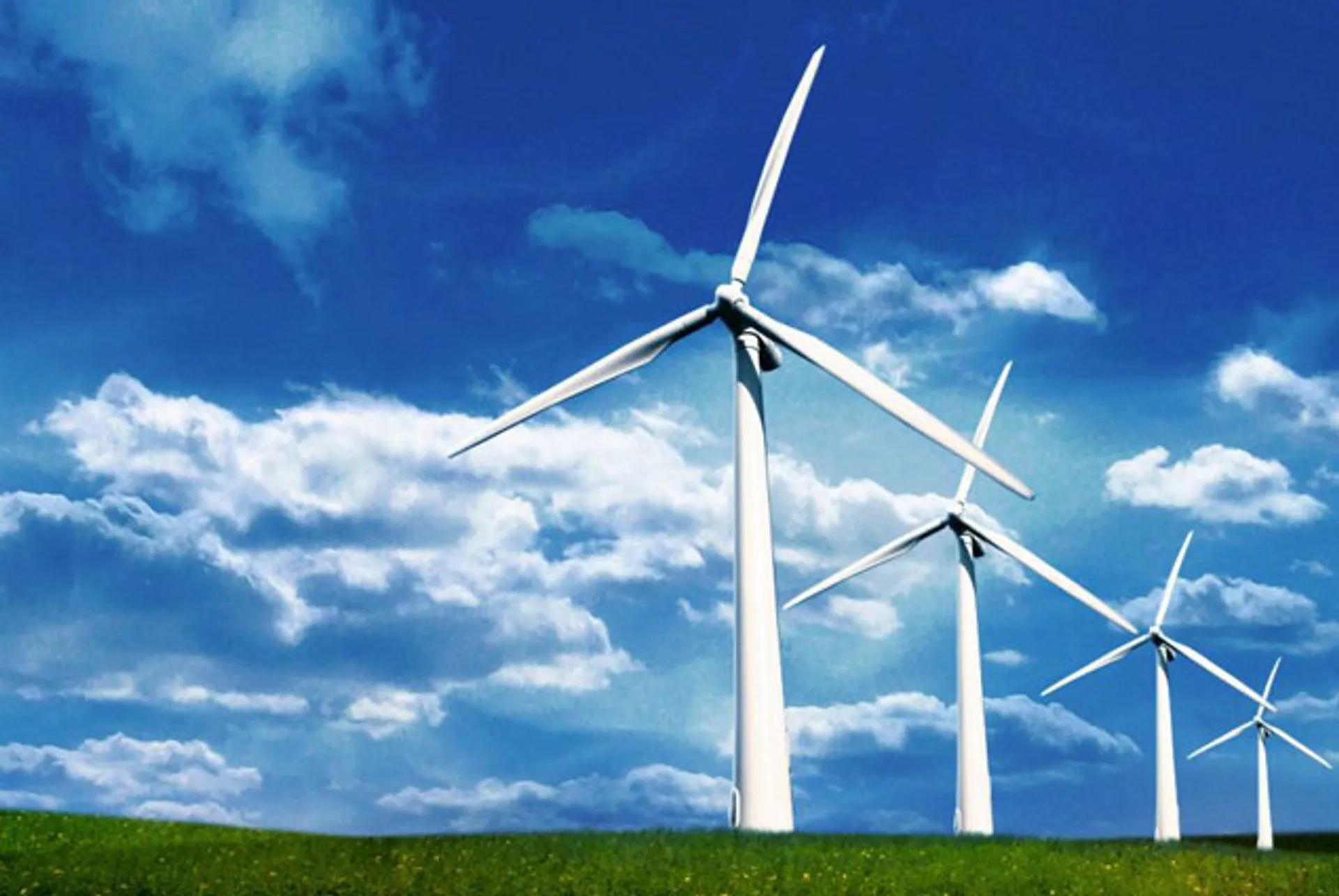 Капитал - Создан совет по переходу к зеленой экономике