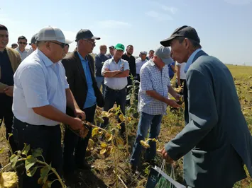 Будет ли в ЗКО дешевый хлеб и корм для животных?