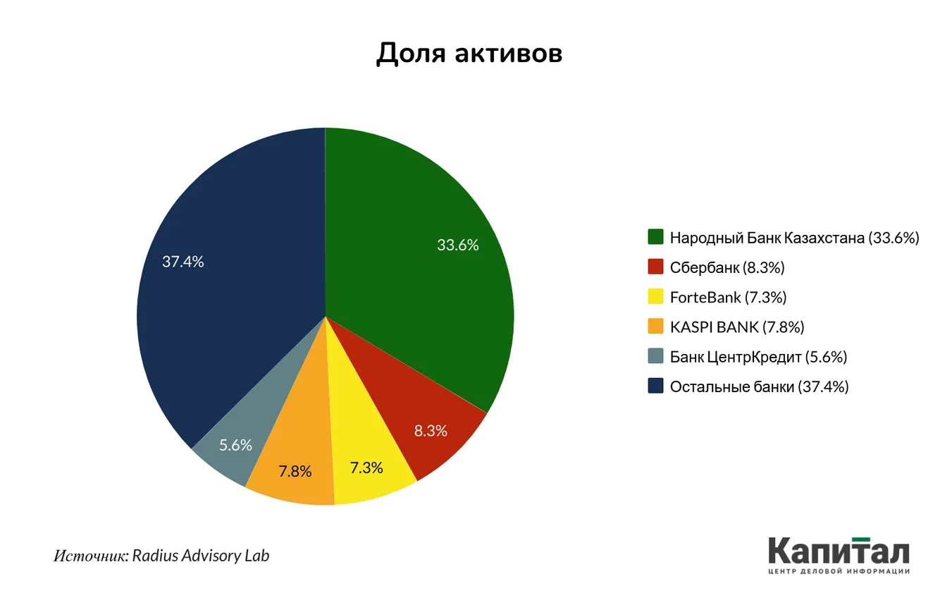 Как долго казахстанские банки могут быть устойчивыми к кризису? - фото kapital.kz