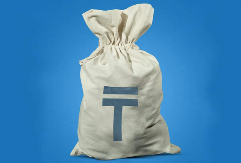 Капитал - Как банки очищают свои портфели от токсичных займов