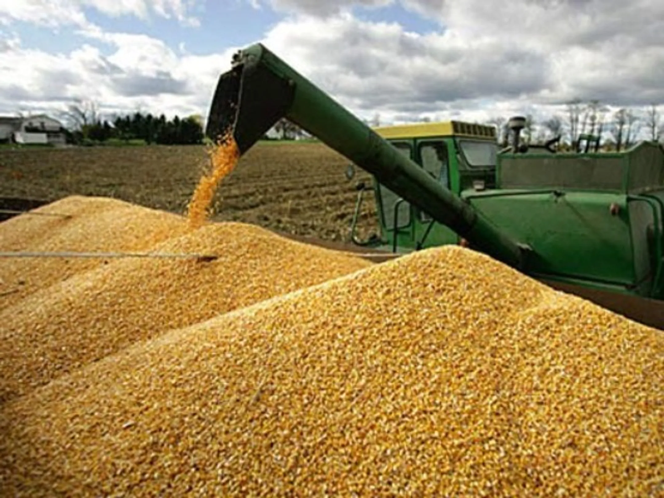 За месяц ҚТЖ перевез 1 млн тонн зерна - Image Kapital.kz