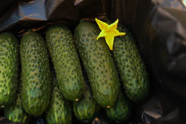 Фото: Владимир Третьяков