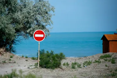 Фото: Руслан Пряников