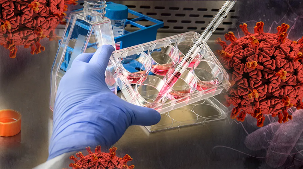 Капитал - Количество летальных случаев от COVID-19 достигло 81