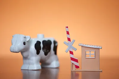 Таких субсидий нет ни в одной стране мира!