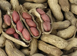 Фото: акимат области Жетісу 