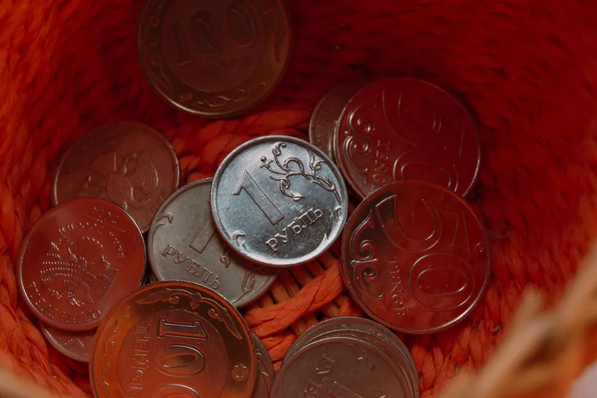 Фото: Валерия Змейкова