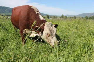 Фото: Руслан Пряников