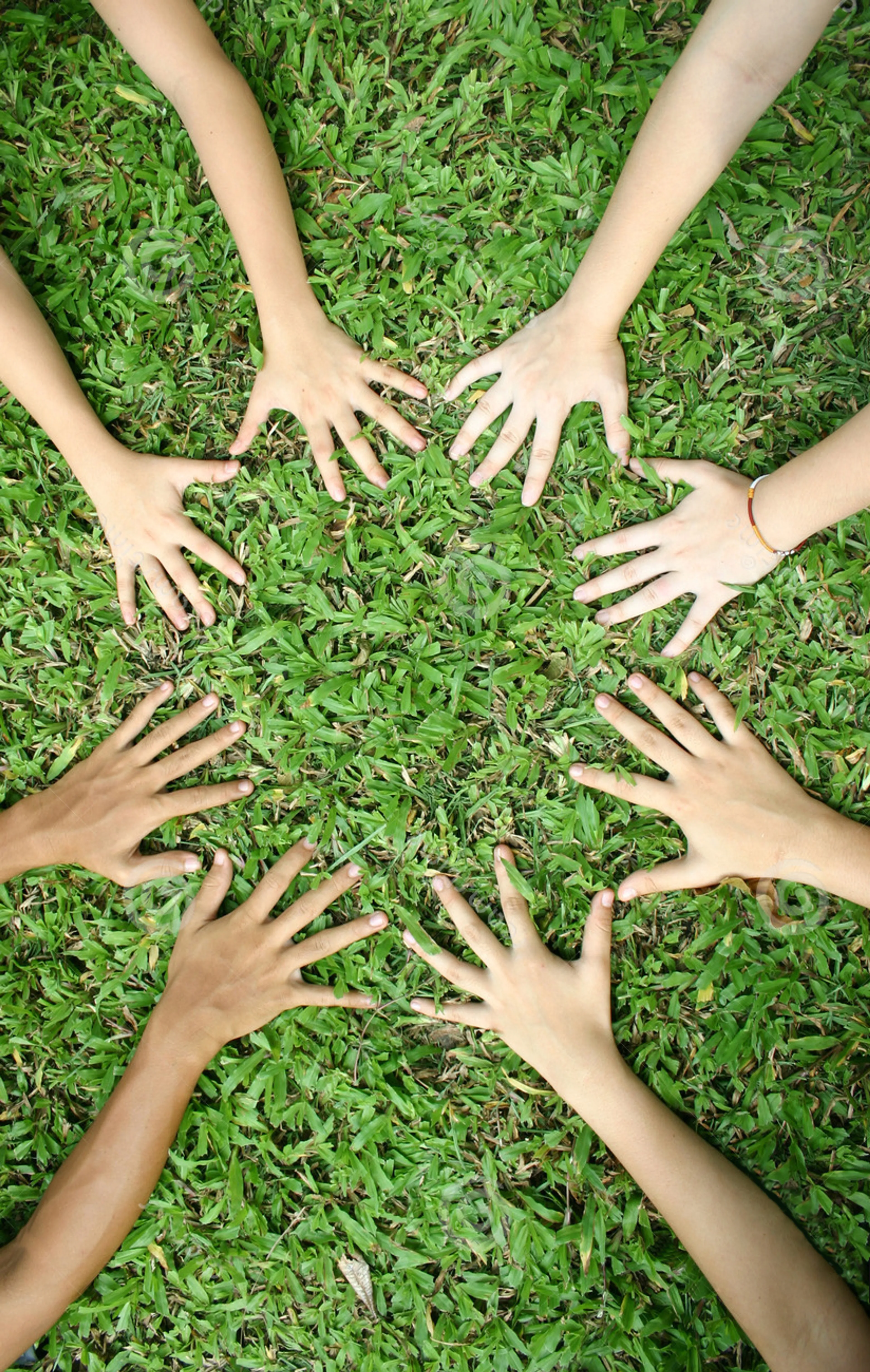 Капитал - Детские сады — бизнес на энтузиазме?