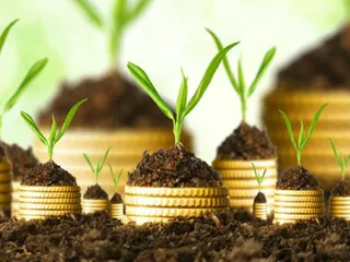 Капитал - РИЦ «ОҢТҮСТІК» создал для кооперативов специальный механизм финансирования