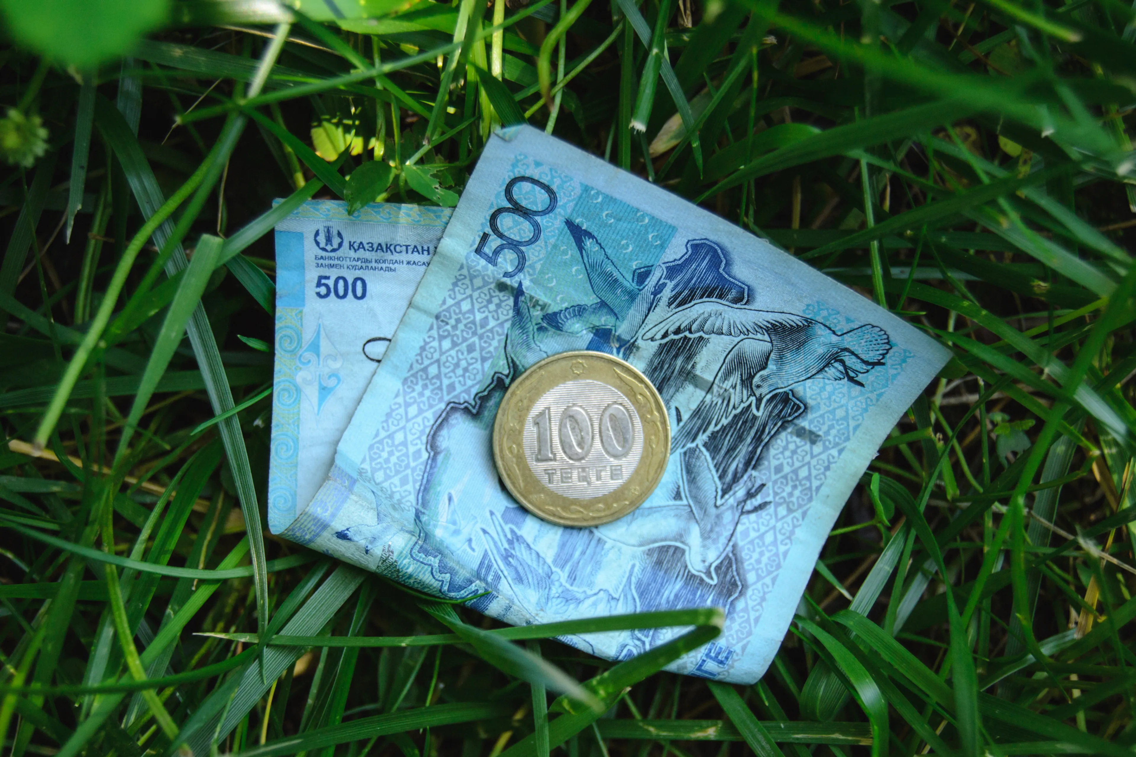 Фото: Валерия Змейкова