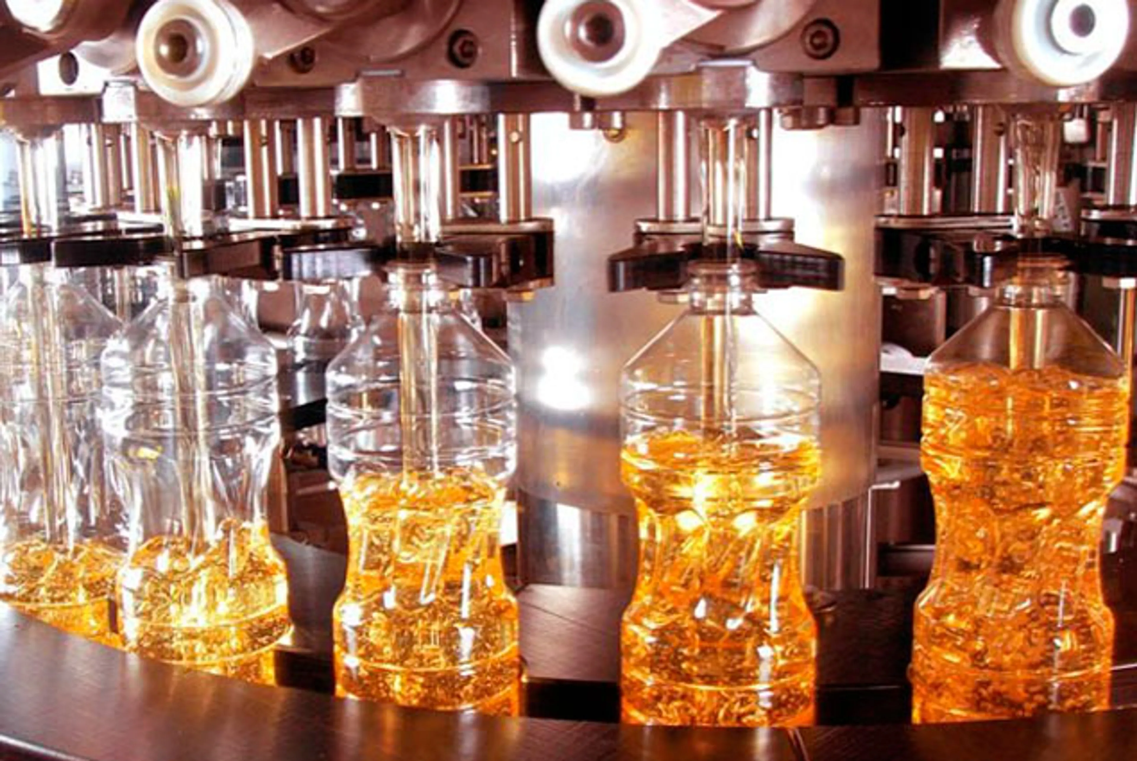 Капитал - В ВКО нарастят производство растительного масла