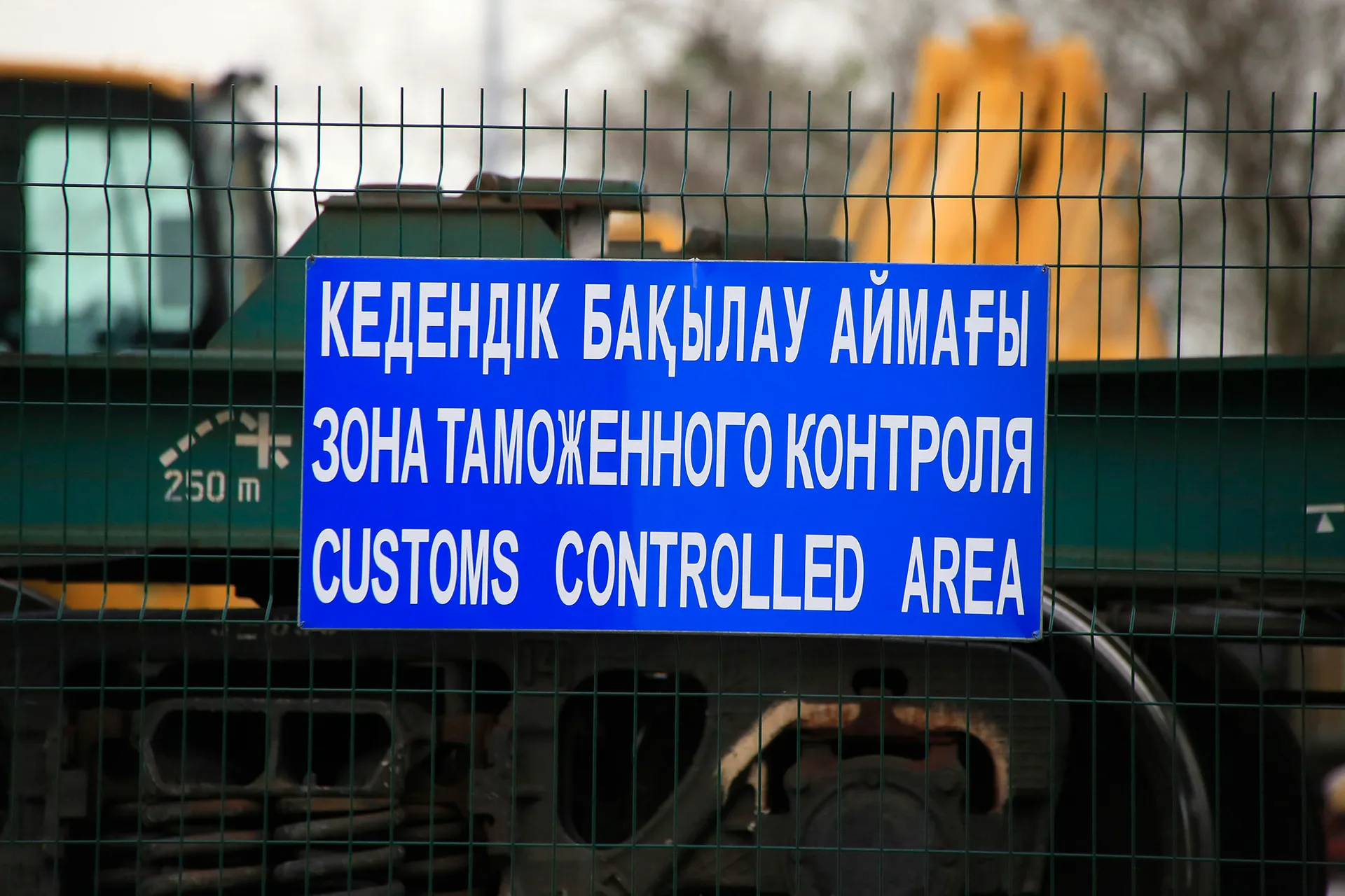 Фото: Руслан Пряников