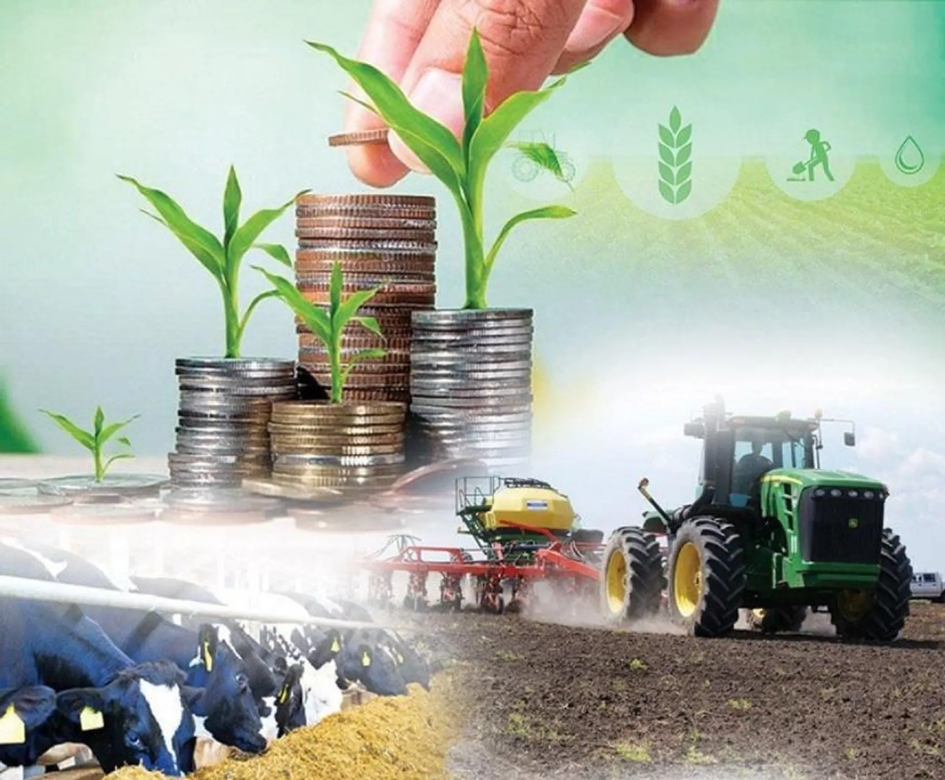 Фото: пресс-служба Минсельхоза