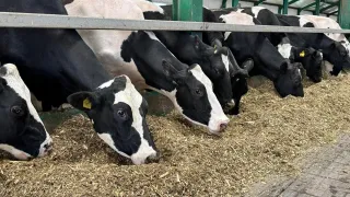 Фото: Министерство сельского хозяйства РК 