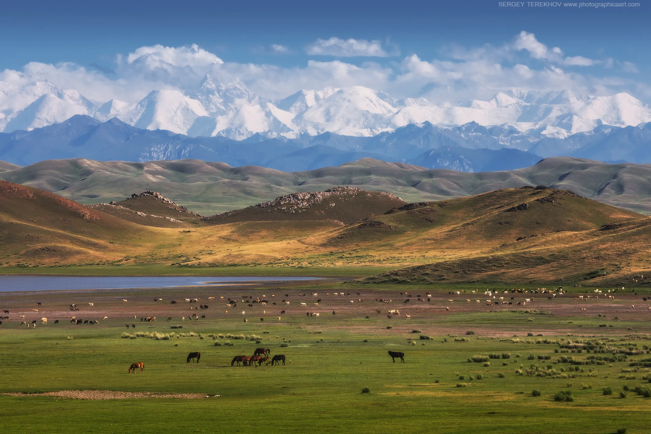 Миннацэкономики меняет формат программы развития регионов - Image Kapital.kz