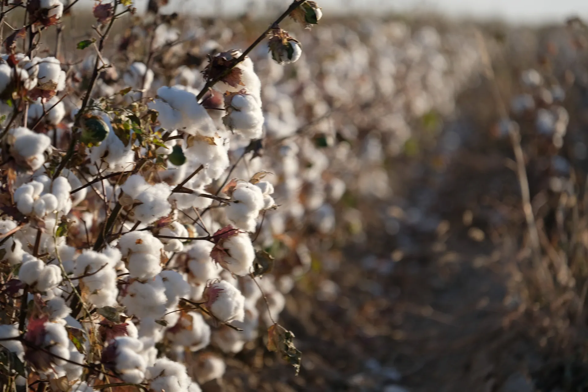 Фото: Владимир Третьяков 