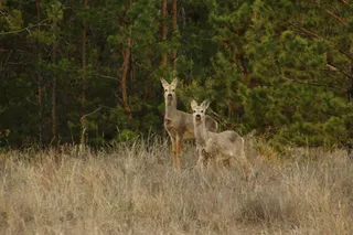 Фото: Прокуратура Костанайской области 