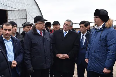 ЮКО планирует поставлять в Иран 20 тысяч тонн мяса в год