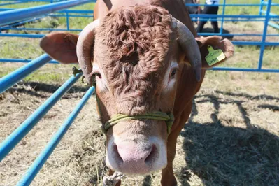 Фото: Руслан Пряников