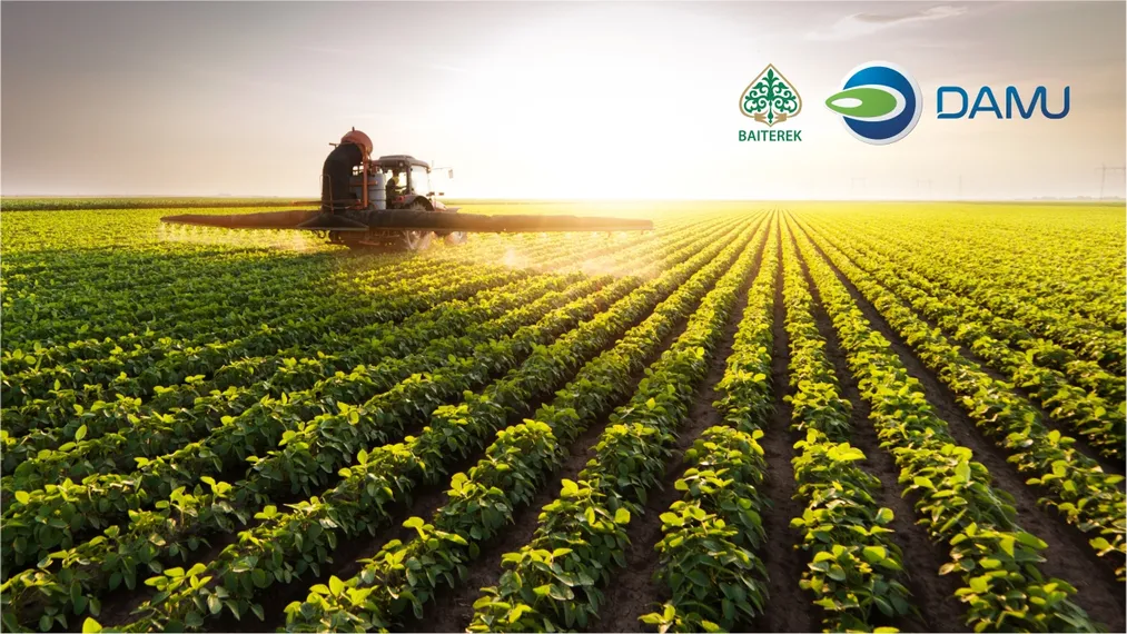 Капитал - Фонд «Даму» расширяет инструмент гарантирования