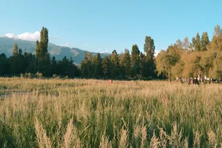 Капитал - В Туркестанской области чиновники незаконно оформили более 200 га земли