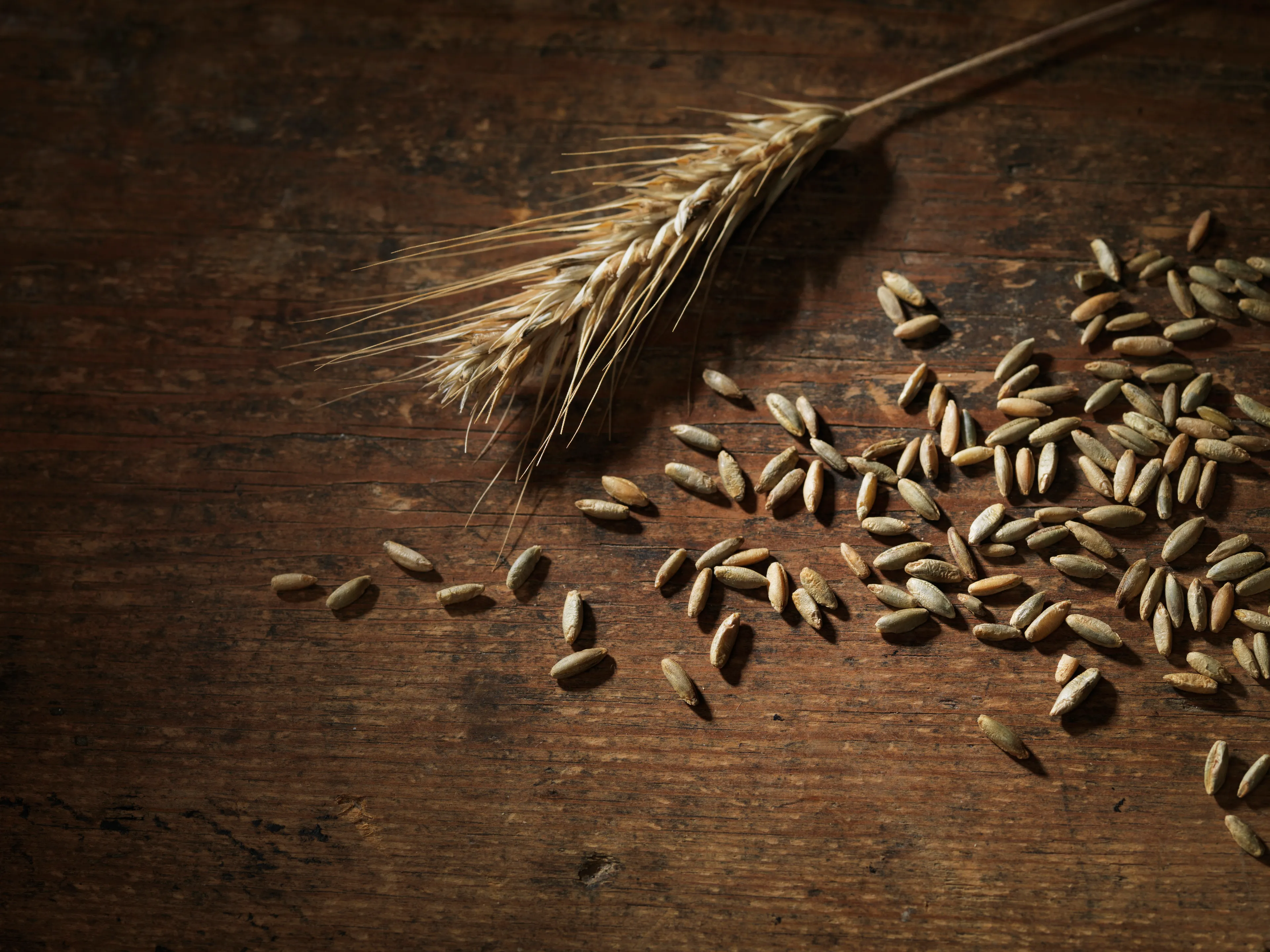 Капитал - Зерновые миражи