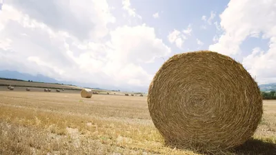 Банки замораживают кредитование сельского хозяйства