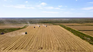 Ингрид Олеринская порно