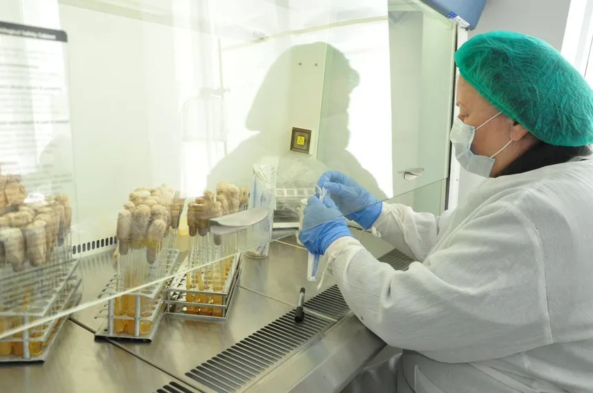 Капитал - Пять вакцин против COVID-19 разработали казахстанские ученые