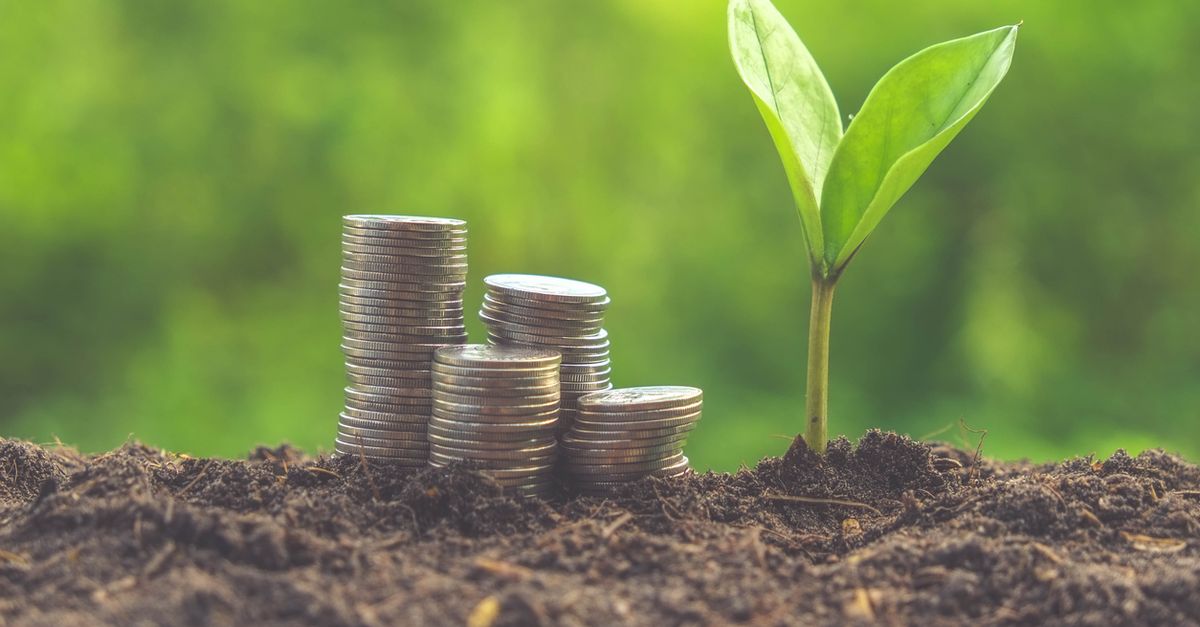 Земли приумножить. Фон для презентации бюджет. Земли приумножить. Деньги инвестиции. Обои на рабочий стол денежное дерево.
