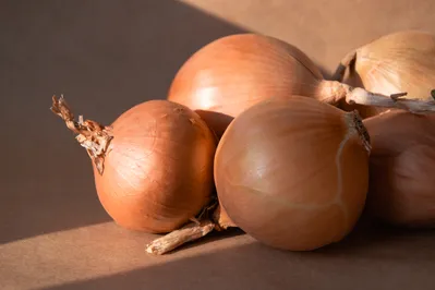 Фото: Валерия Змейкова