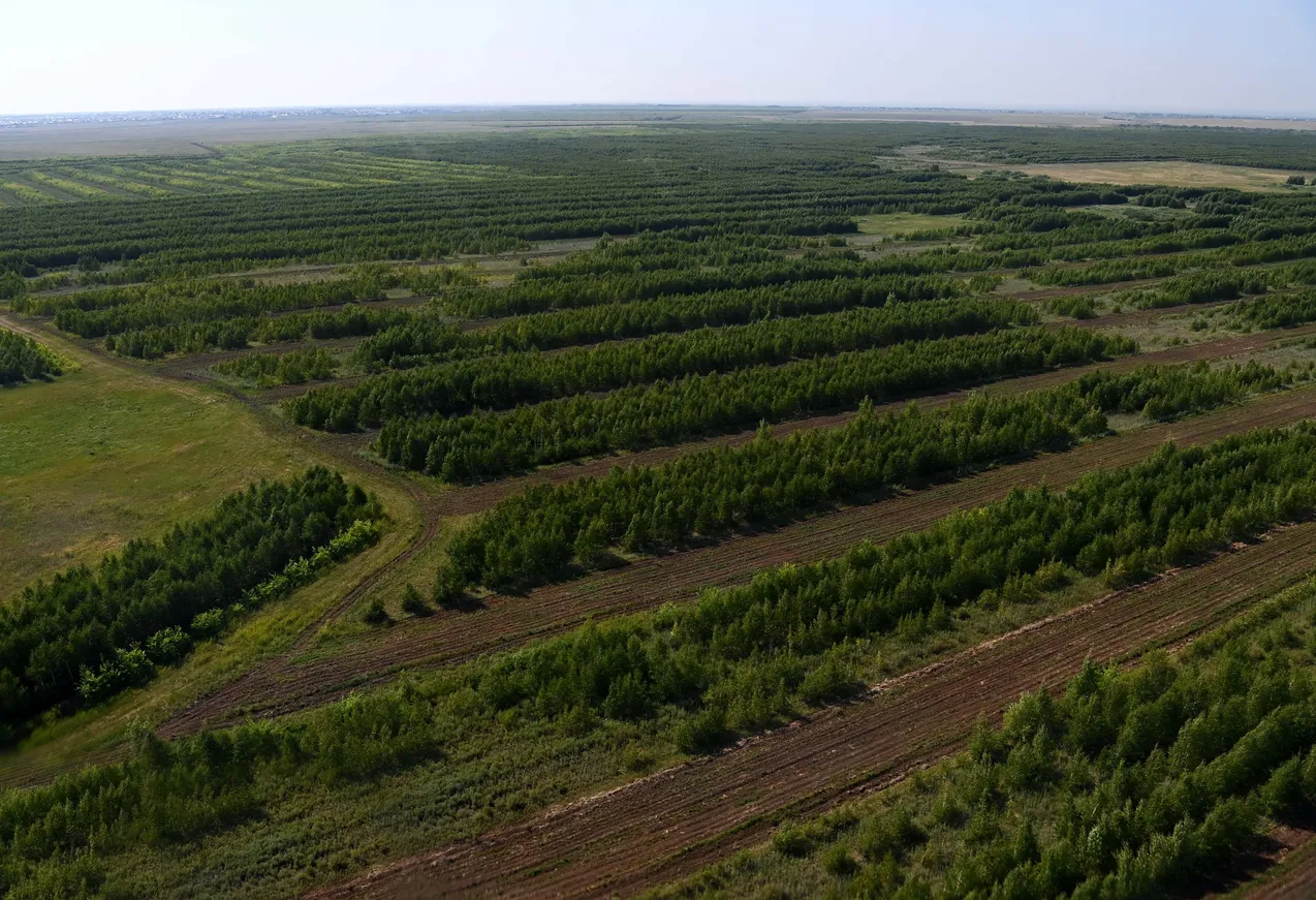 Нурсултан Назарбаев предложил придать «зеленому поясу» столицы статус нацпарка - фото kapital.kz
