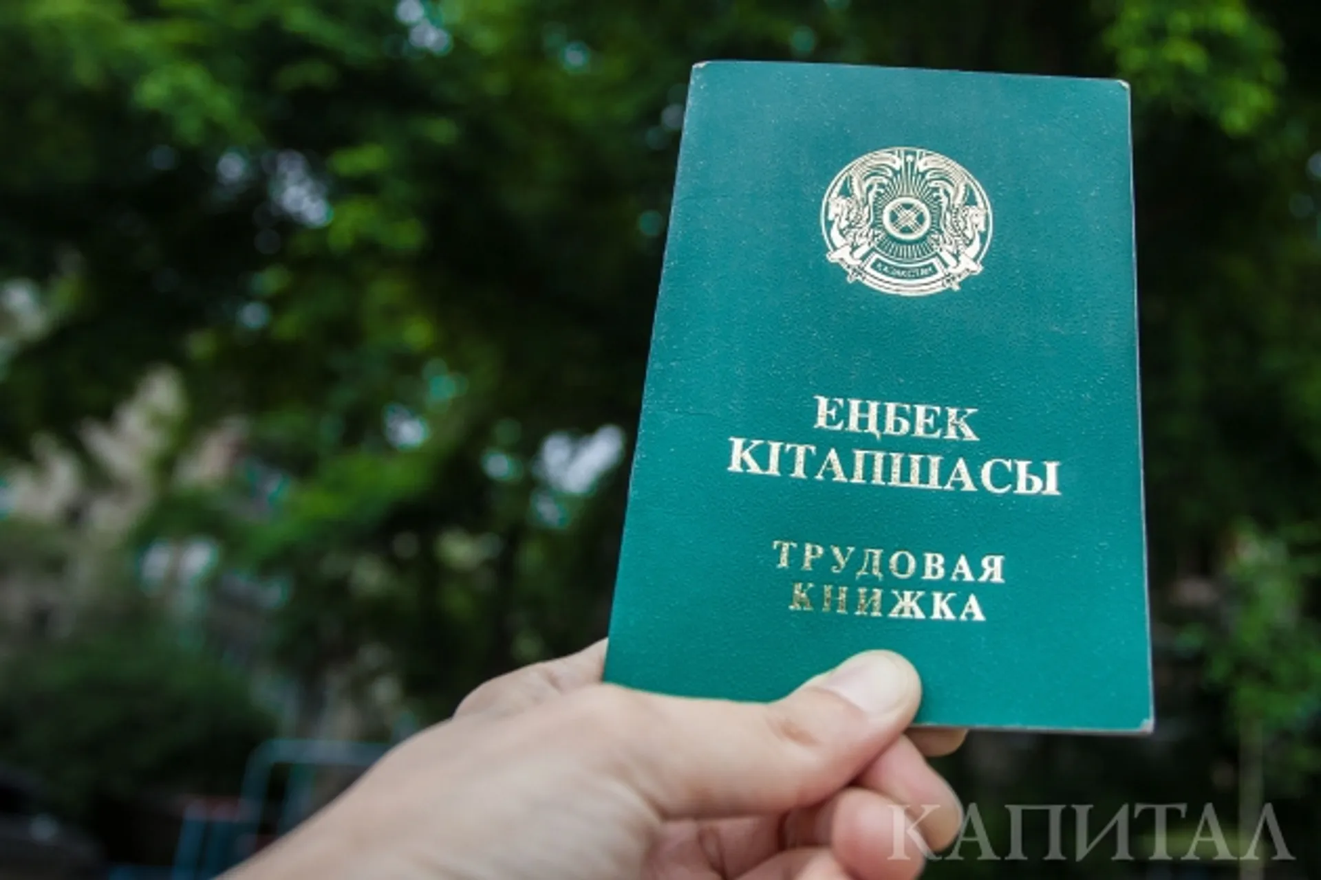 Капитал - В СКО новый глава департамента охраны общественного здоровья