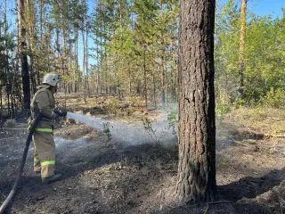 Фото: МЧС РК 