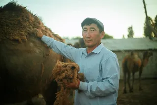 Капитал - Миллионер из аула