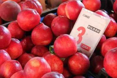 Между Россией и Турцией назревает торговая война