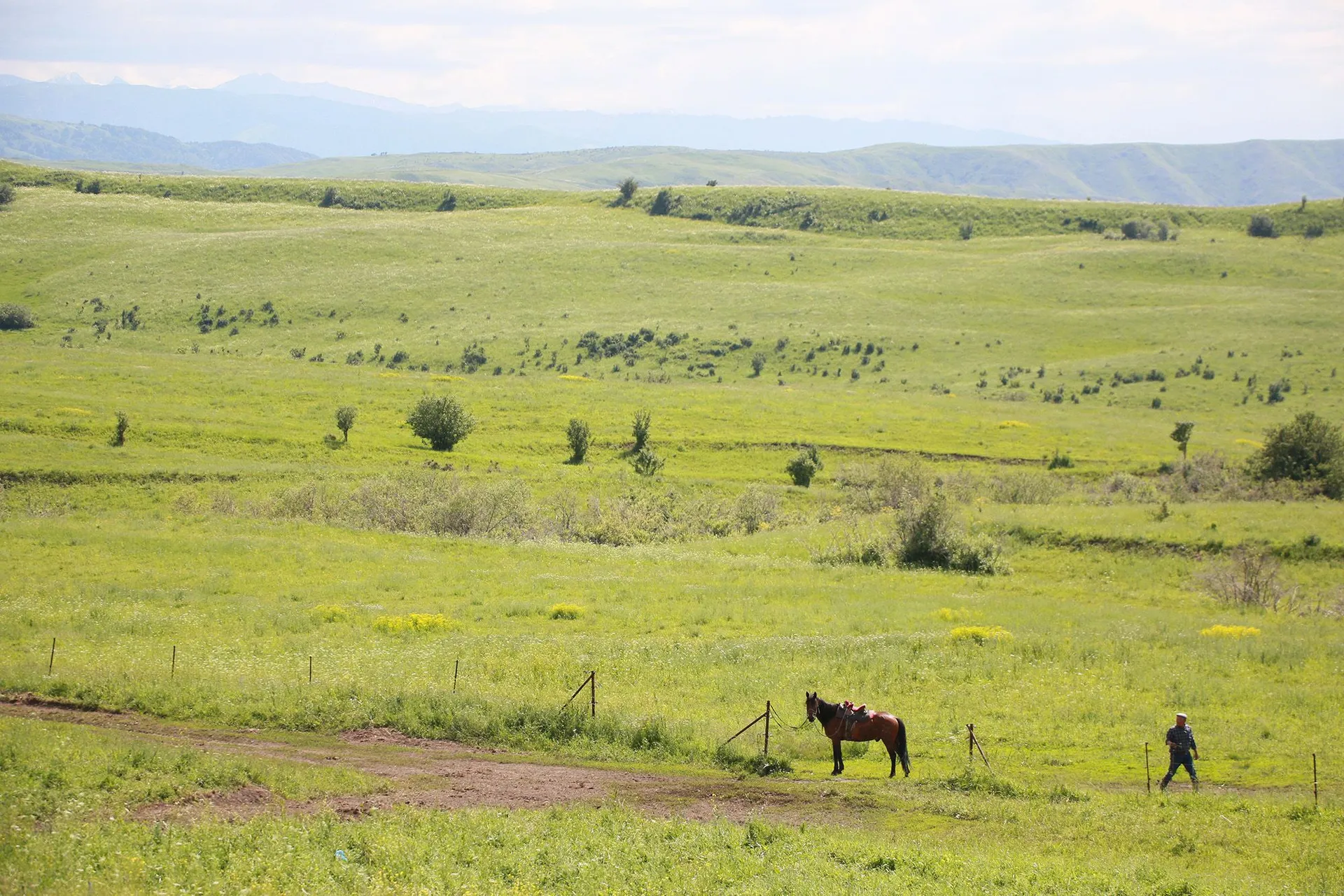 Фото: Руслан Пряников