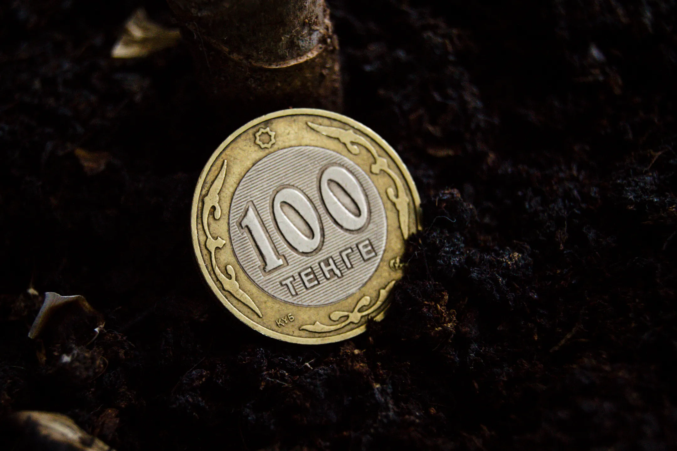 Вопрос продажи земель сельхозназначения рассмотрит Нацсовет - Image Kapital.kz