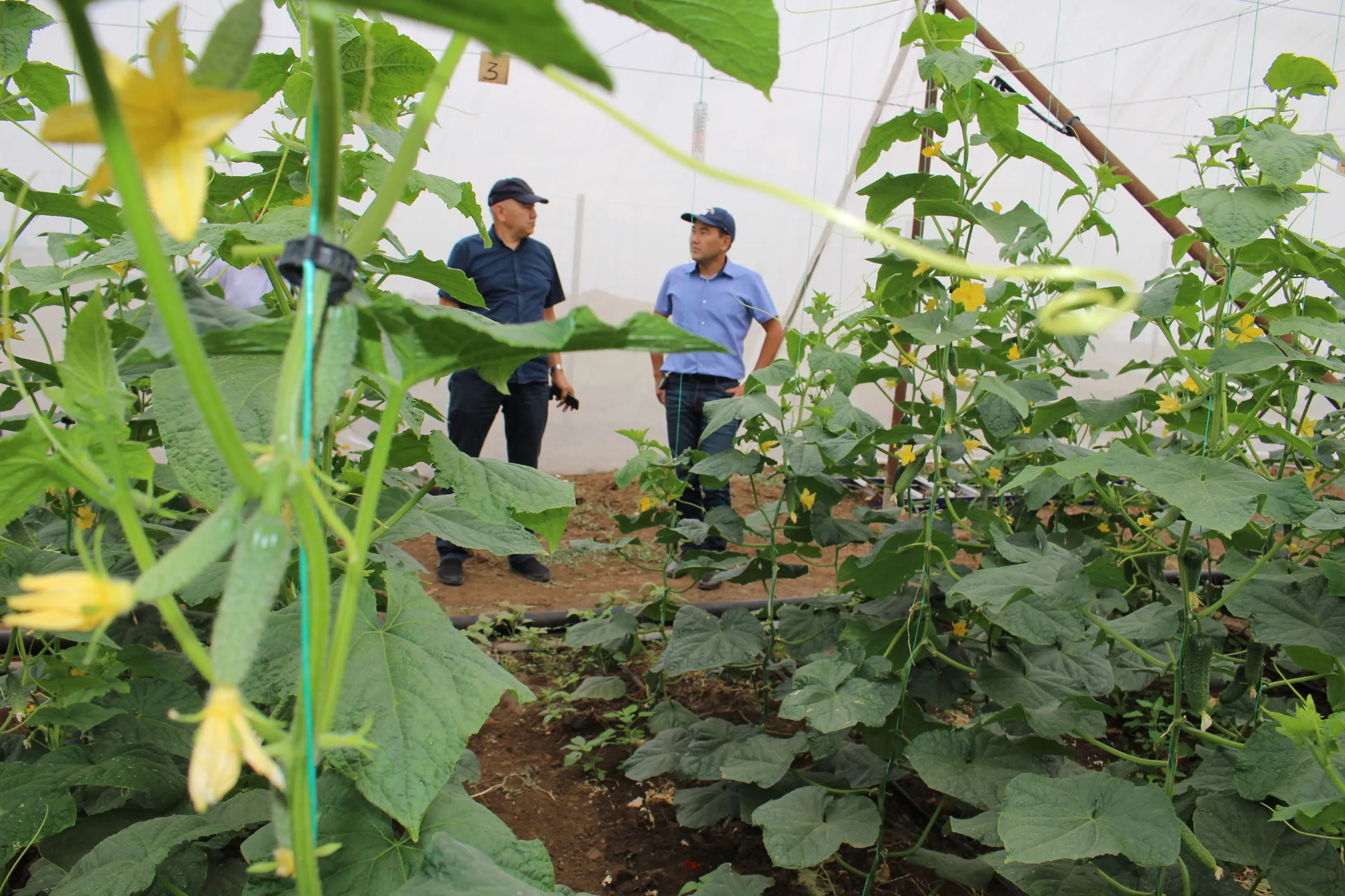 Инновационная технология NetHouse заработала в Актобе - Image Kapital.kz