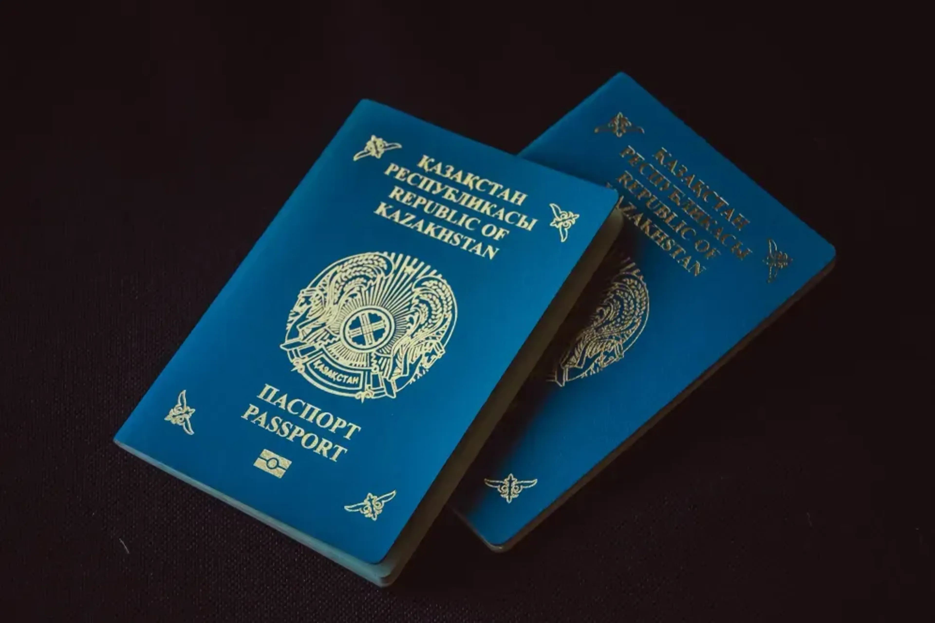 Фото: Валерия Змейкова 