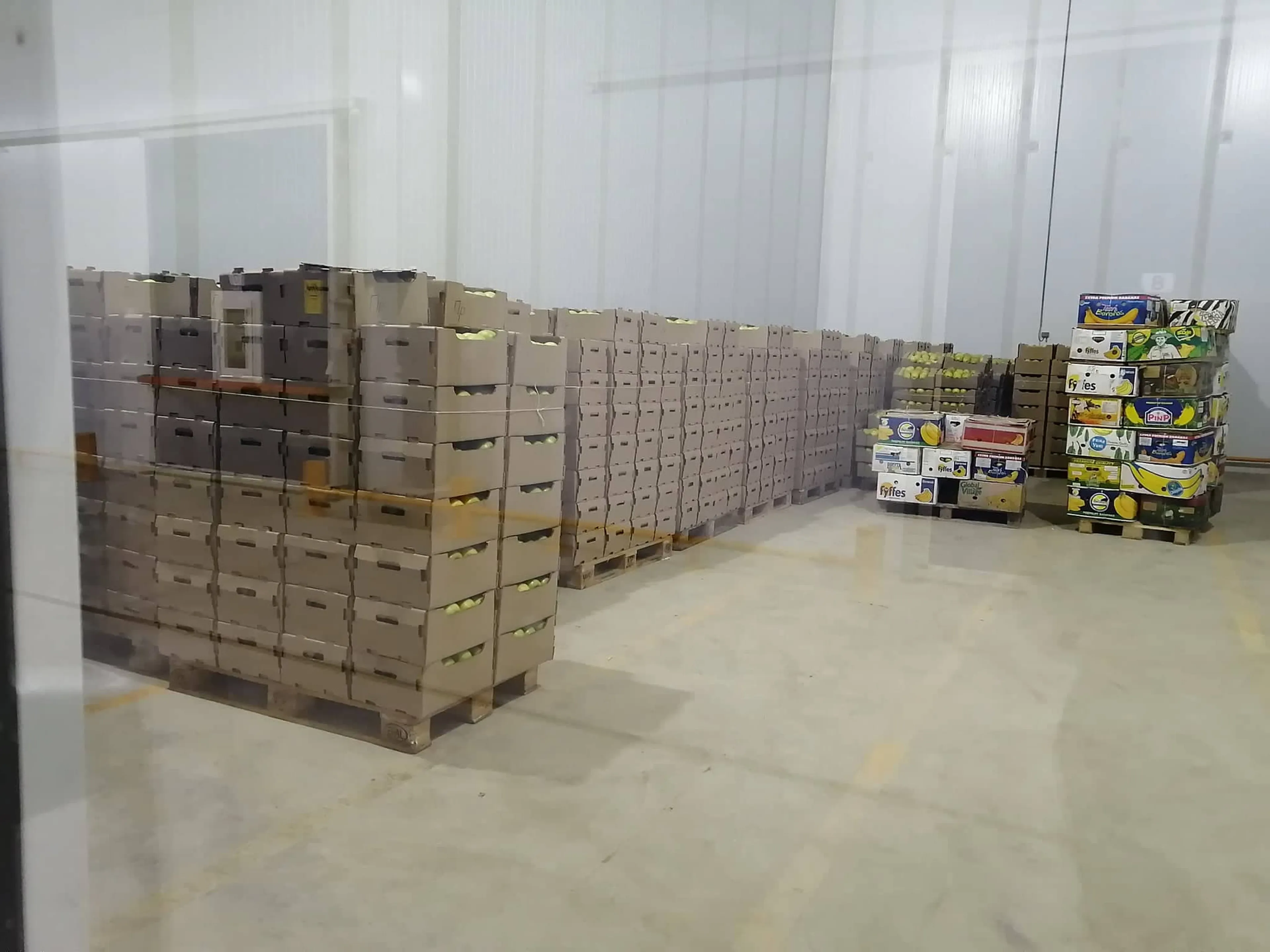 Капитал - Фруктохранилище открыли в Алматинской области